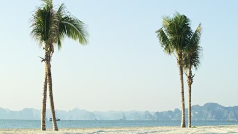handheld view of tropical beach of ha long