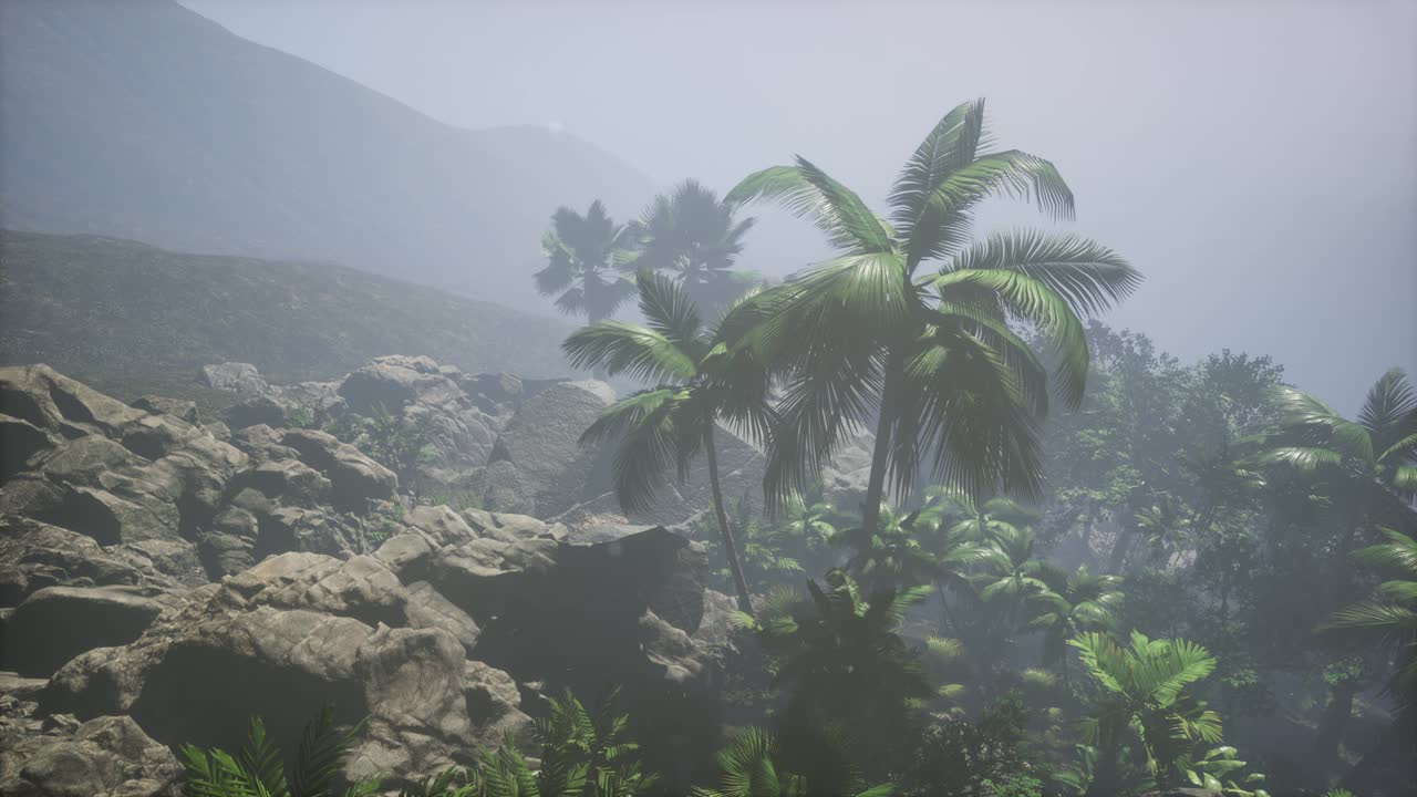 ⁇ 나무 를 가로지르는 해 가 지는 광선