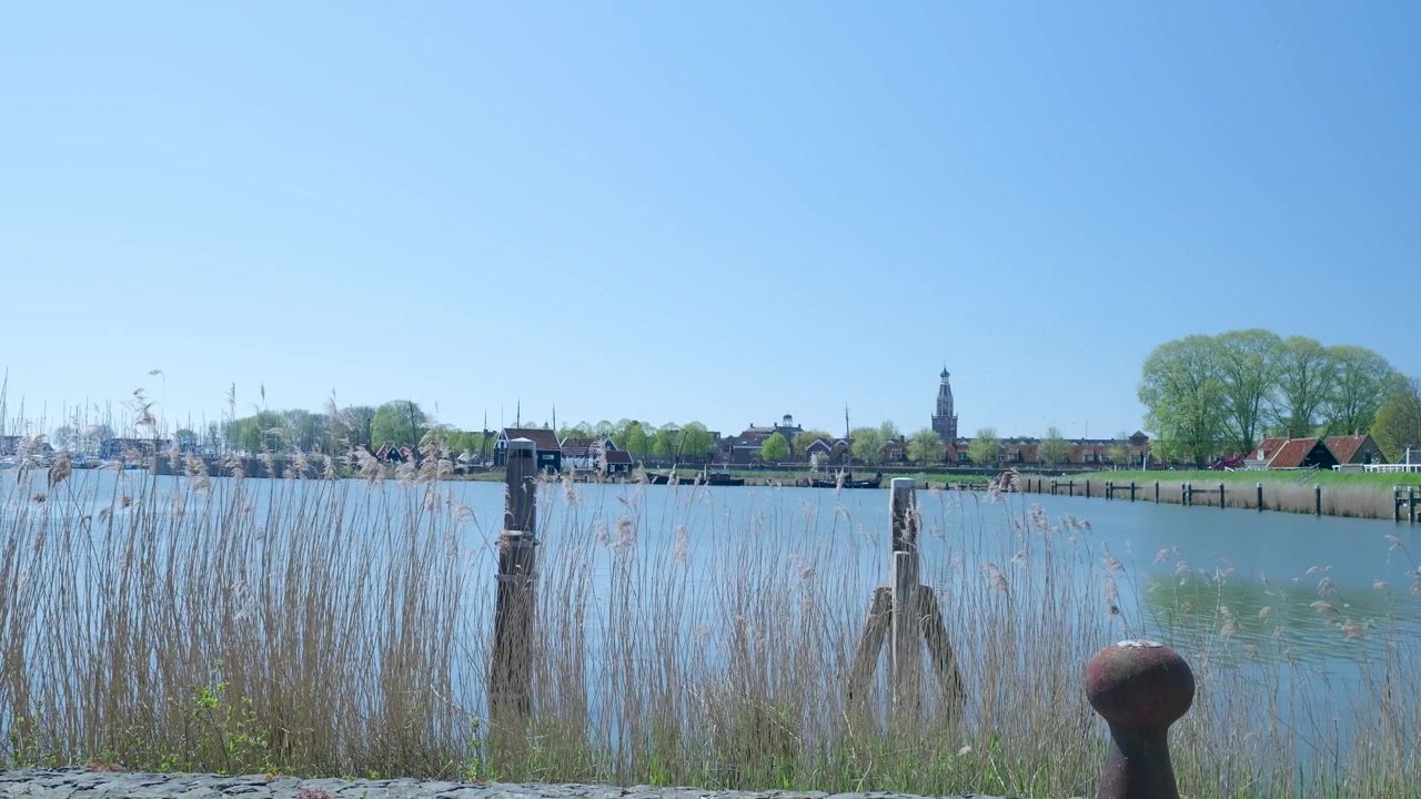Malerische Aussicht auf einen ruhigen Hafen mit Schilf im Vordergrund