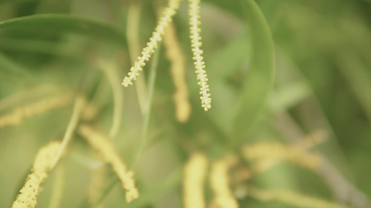 공원에서 바람에 푸른 잔디