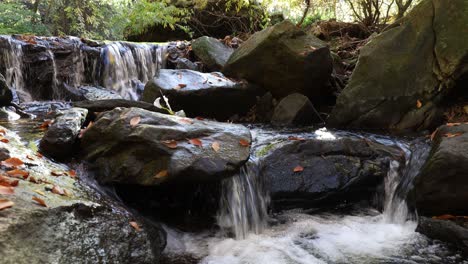 Pool-Mit-Kühlem-Wasser-Am-Fuße-Eines-Kleinen-Wasserfalls-In-Einem-Bach,-Der-Durch-Wälder-Fließt