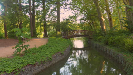 peaceful canal scene in a lush green park