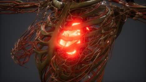 CG-Animation-Of-A-Sick-Human-Heart