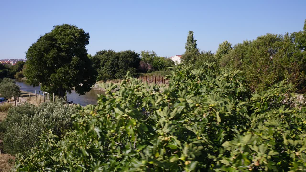 hermoso río y ciudad en el fondo