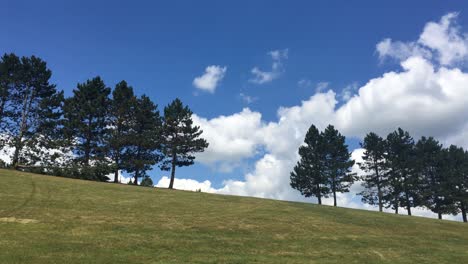 on the empty golf course