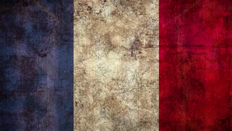 textured pattern flickering against french flag