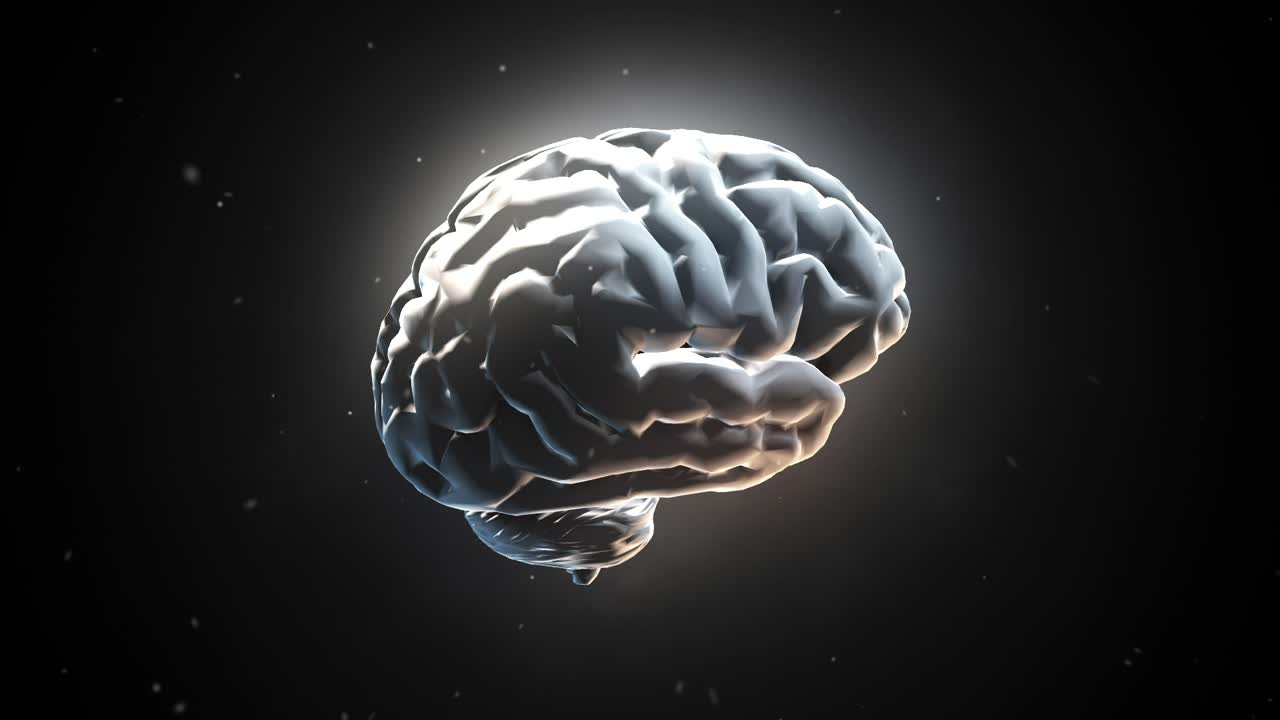 Human Brain Illustration