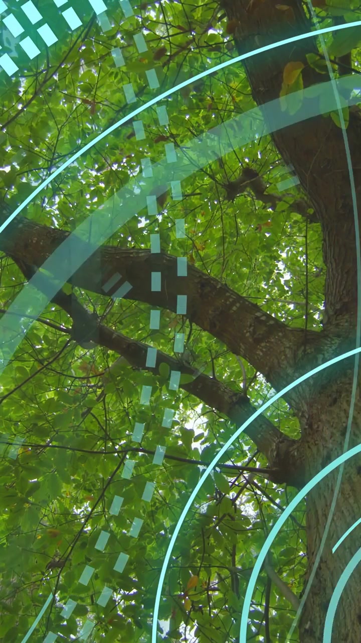 Video verticale: Telecamera che si inclina verso l'alto, brezza che muove le foglie, anelli ciano che scendono creando un contrasto AR