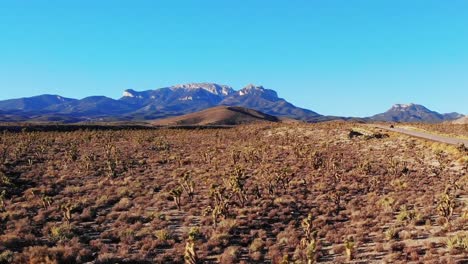 highway to mount charleston nevada