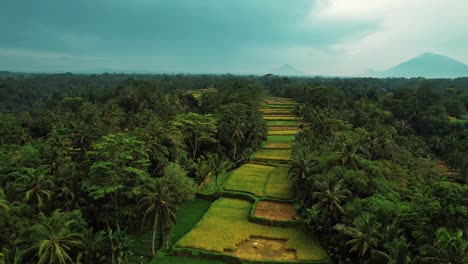 Tegalalang-Reisterrassen-Drohnenblick-Mit-Vulkanen-In-Der-Ferne,-Ubud,-Bali