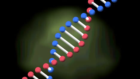 animación de la cadena de adn sobre un fondo verde