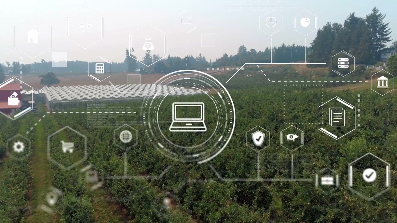 Un HUD appare su un frutteto, un anello si sposta sul laptop mentre icone esagonali pulsano, visualizzando dati sulle colture.