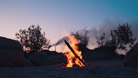 burning bonfire on a summer evening next to forest