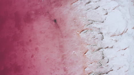 aerial over a pink salt lake showing the contrast between the crystalized salt and the pink waters