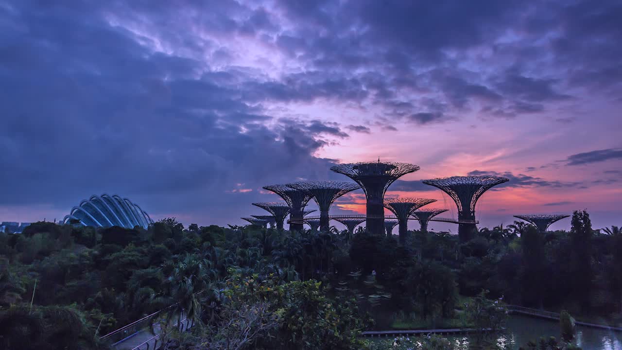 4K. Time lapse view of Supertree Singapore City