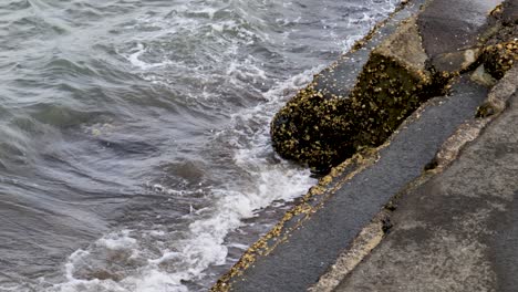 Eine-Nahaufnahme-Aus-Der-Hand-Von-Wellen,-Die-Gegen-Die-Stufen-Eines-Piers-An-Einem-See-In-Auckland,-Neuseeland,-Schlagen