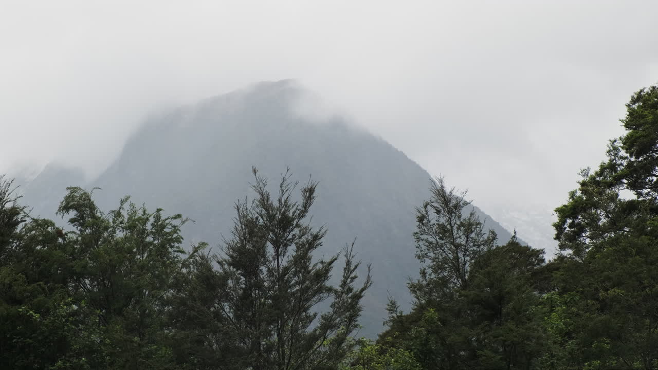 Trees in the foreground with mist and Milford Sound's cliff peak in the background, New Zealand