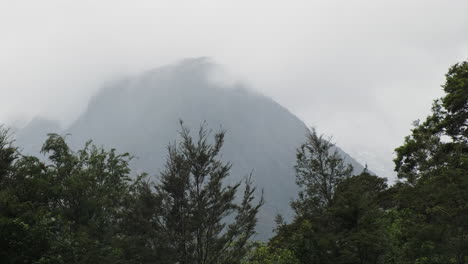 Trees-in-the-foreground-with-mist-and-Milford-Sound's-cliff-peak-in-the-background,-New-Zealand