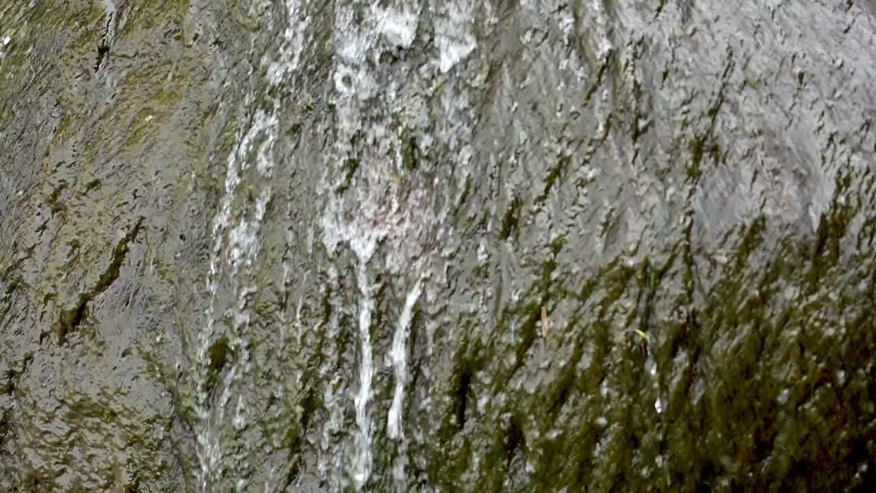 포옹 지점 오레곤 해안, 주립 공원에서 폭포를 기울이십시오.