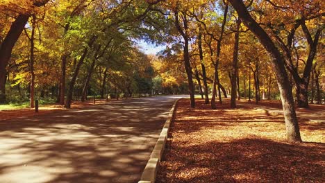 van driving through the trees and beautiful autumn colors of city park