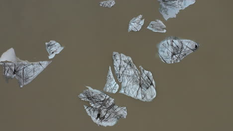 Aerial:-Top-down-view-of-icebergs-floating-in-a-lagoon