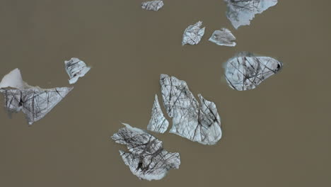 aerial: top down view of icebergs floating in a lagoon