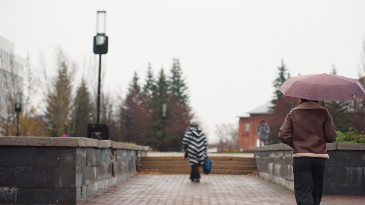 Back shot of young girl walking in light snowfall, holding umbrella, wearing knit cap, brown shearling jacket, black trousers, one hand in pocket, autumn leaves scattered, people walking in background