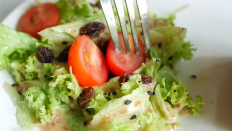 delicious salad with raisins and tomatoes