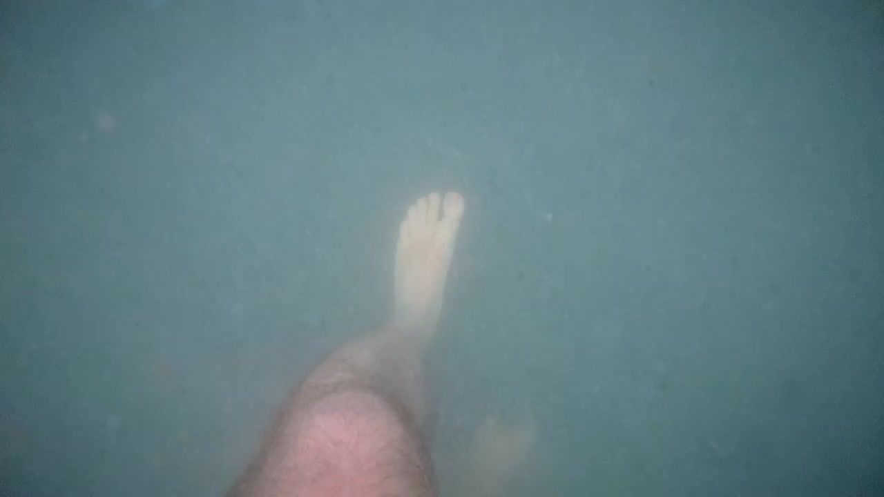 Underwater footage of legs walking on the sea floor with low visibility, floating particles, and soft blue green tones