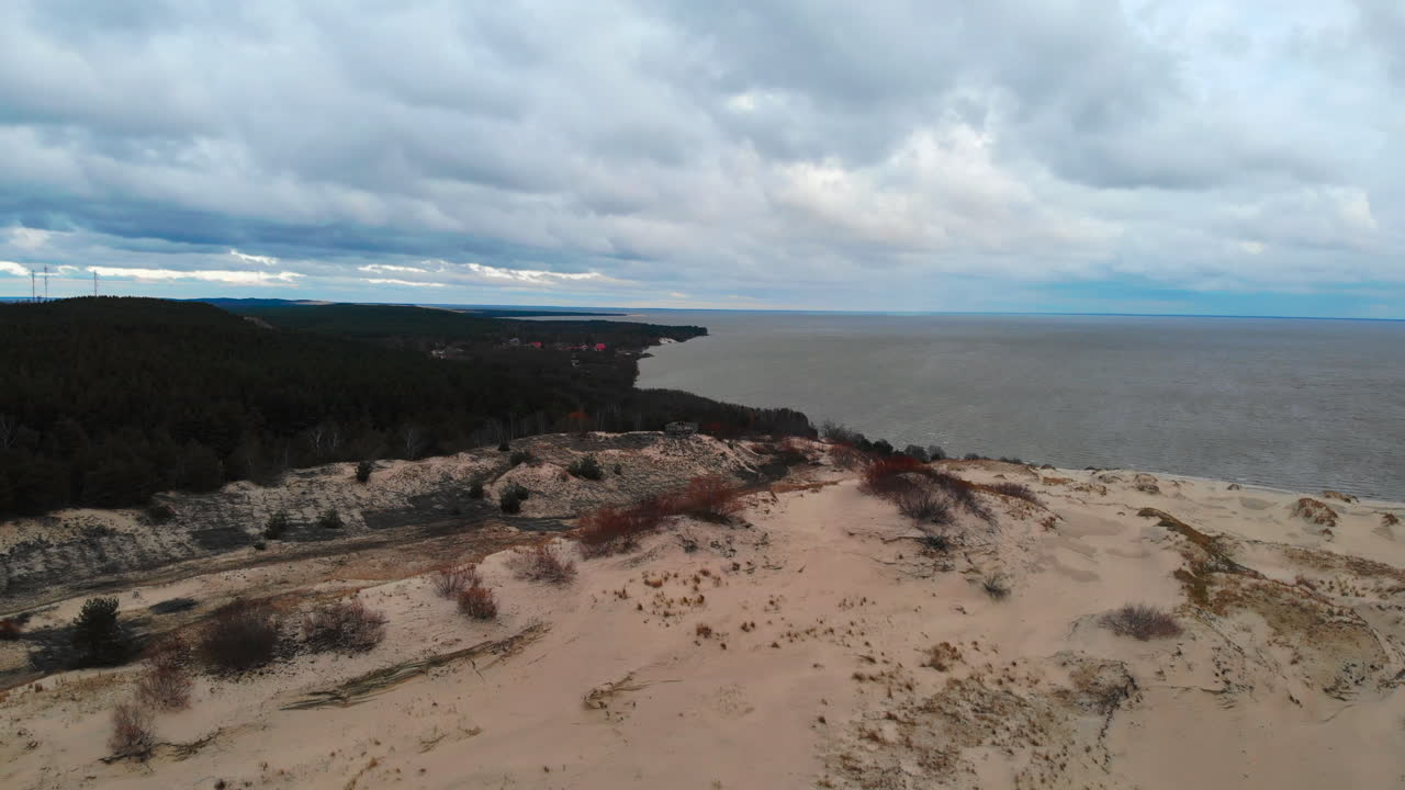 Coastal Landscape with Sand Dunes, Sea, and Forest