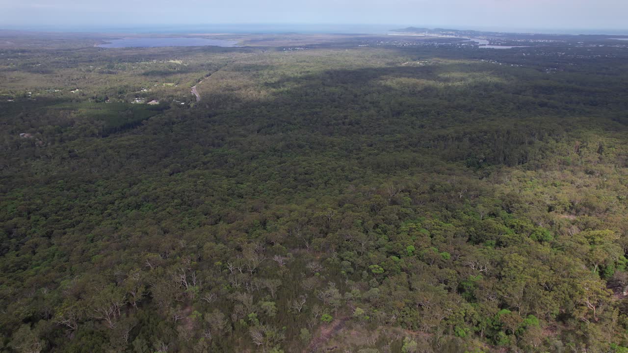 Tewantin Forest Reserve In Tinbeerwah, Australia - Aerial Drone Shot