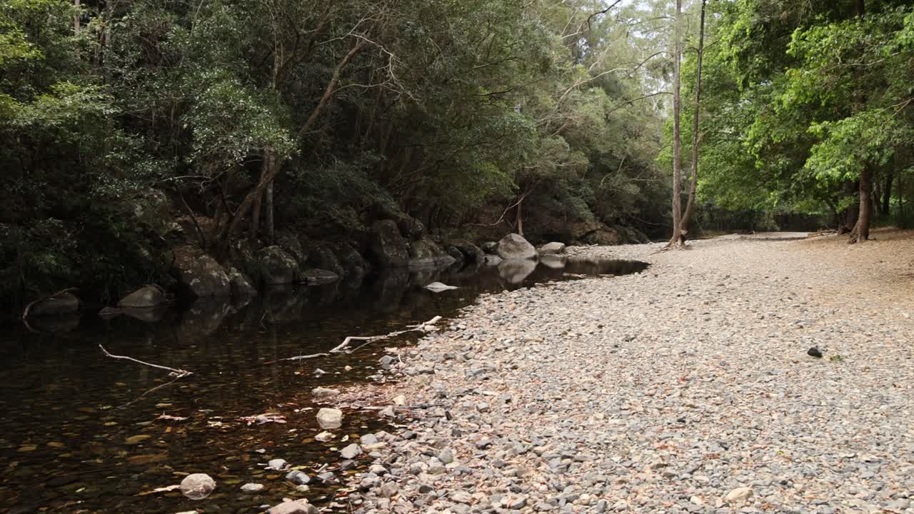 lapso de tiempo de aumento del nivel del agua del río en el bosque