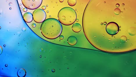 abstract colorful food oil drops bubbles and spheres flowing