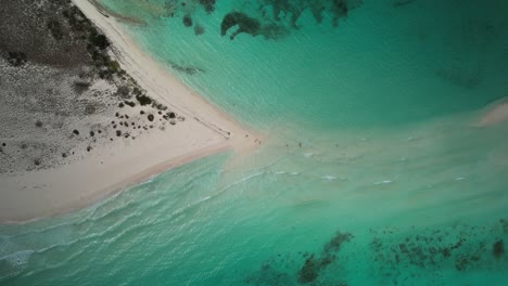 A-pristine-beach-and-clear-turquoise-waters-at-los-roques,-venezuela,-aerial-view