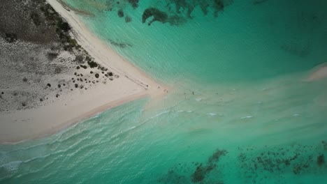 a pristine beach and clear turquoise waters at los roques, venezuela, aerial view