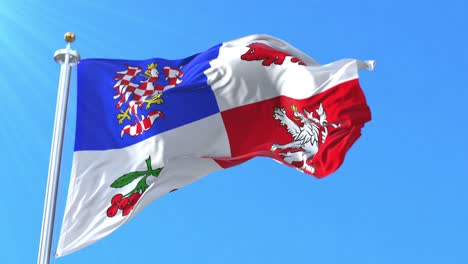 bandera de la región de vysocina, república checa. bucle