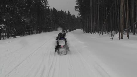 a pov of snowmobiles driving along a snowy forest road