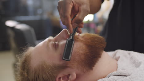 barbero cepillando la barba de un cliente masculino