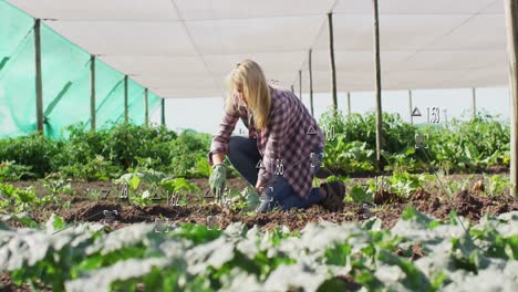 animation of financial data processing over caucasian woman gardening