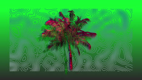 animation of moving palm tree, over contour lines, on green