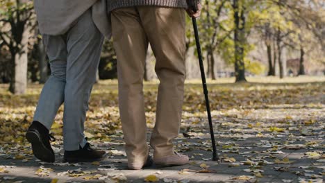 low section of senior couple walking together at the park in autumn