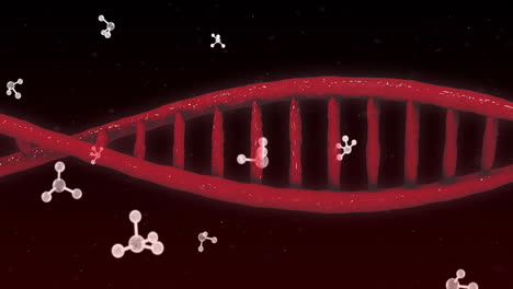 Animation-of-dna-strand-over-molecues