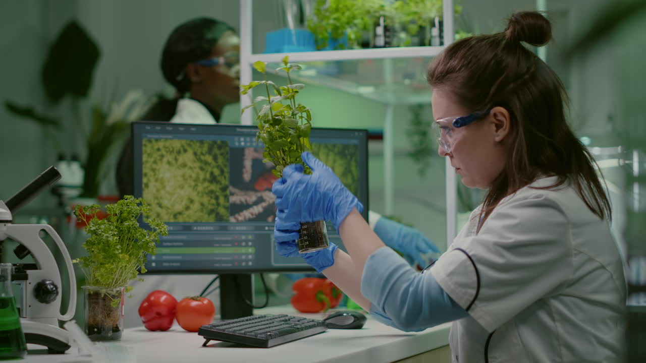 Biologist scientific doctor examining green sapling