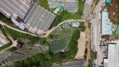 general landscape view of the brinchang district within the cameron highlands area of malaysia