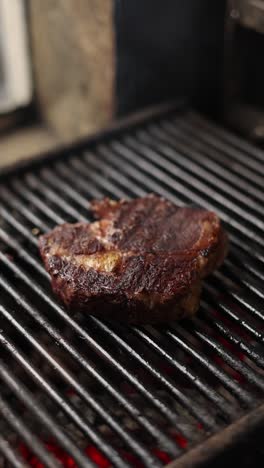 grilled steak on the bbq