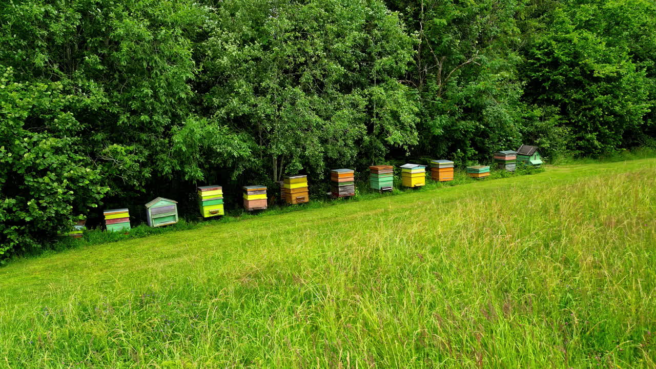 A row of colorful beehives on a green grassy slope next to a forest