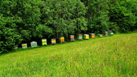a row of colorful beehives on a green grassy slope next to a forest