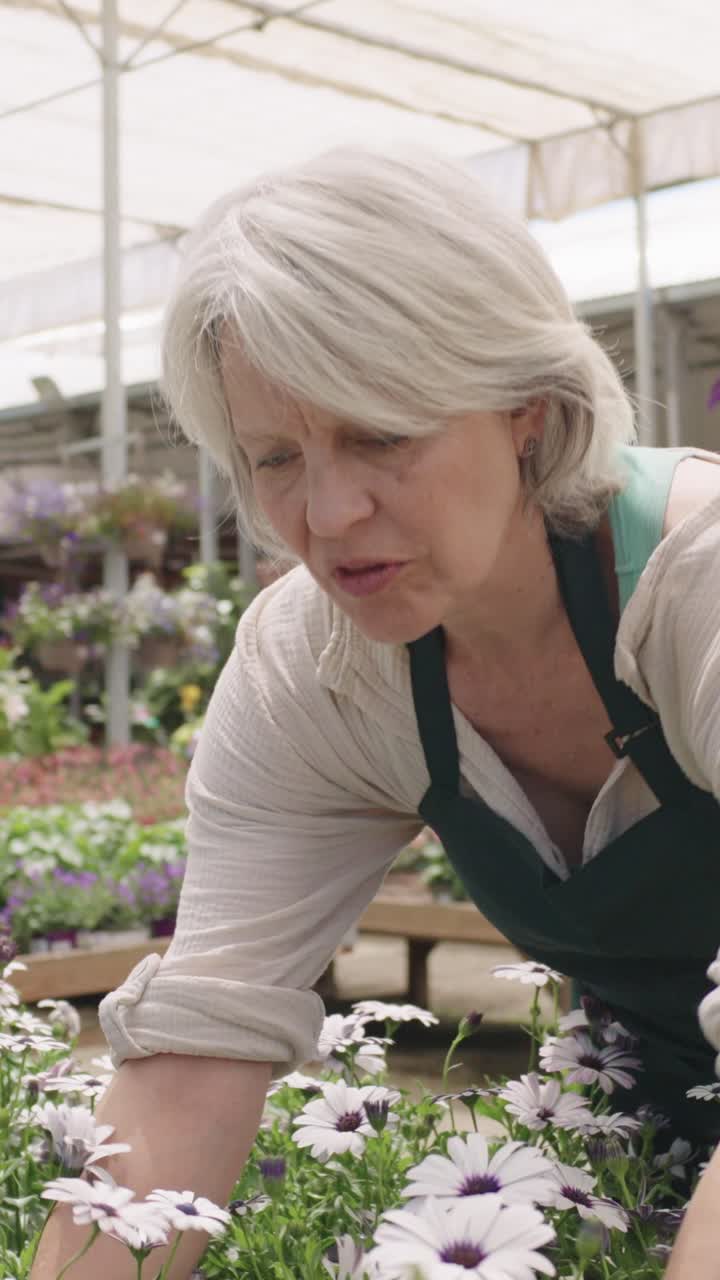 Woman working at a garden center