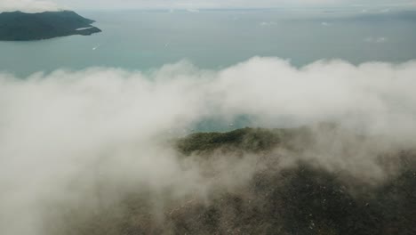 無人機在熱帶森林島上的雲端上空俯瞰,以揭示樹木和步道