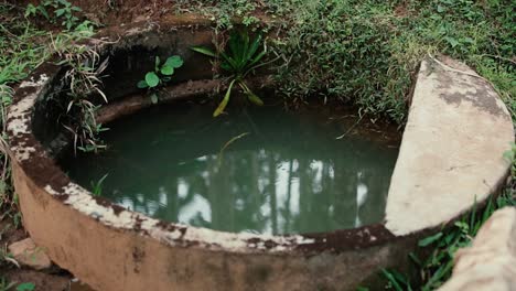 Pozo-De-Agua-Con-Agua-Verde-Y-Pequeños-Insectos-Volando-Alrededor